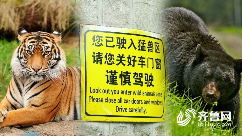 066e308aa4f2958bee3b7d4a8976b1ca.jpg 微信图片_20170831204840.jpg