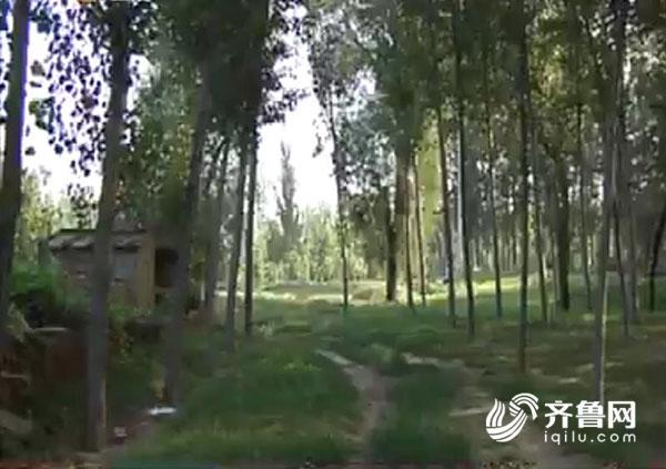 德州边临镇总体规划图