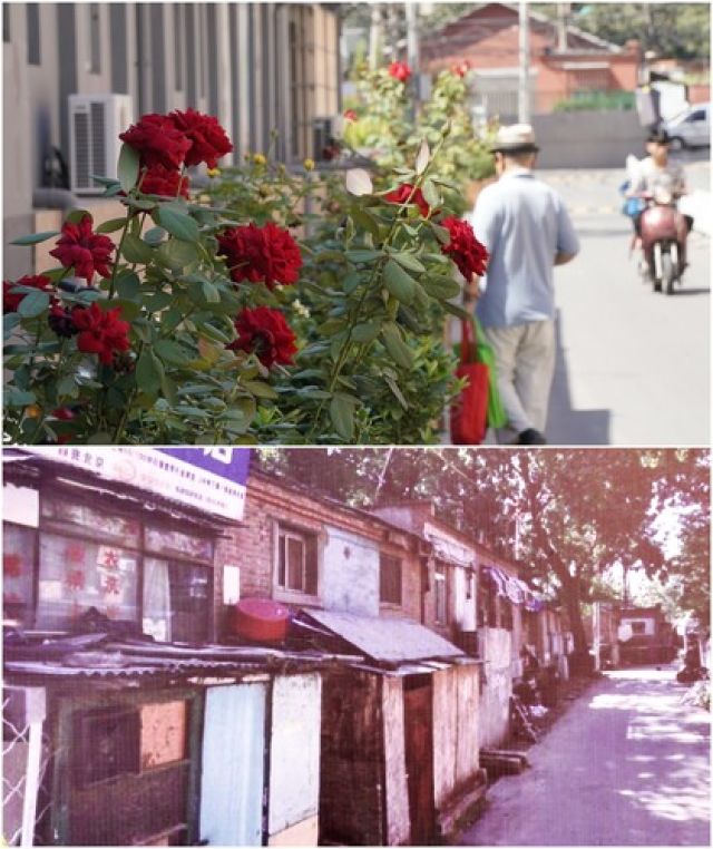“这样的街道才是首都范儿”——北京老城“绣花”记