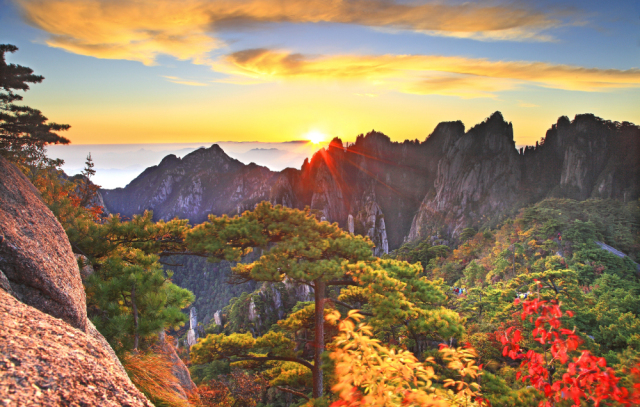 又可以出去嗨啦 桂花香,山色繁 秋高气爽正当时 等你来黄山 秋景