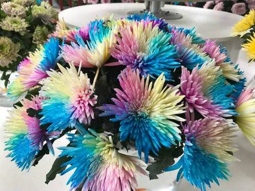 中国（开封）第六届国际菊花展暨《天下菊花 金菊十品》邮票首发式在清明上河园举行