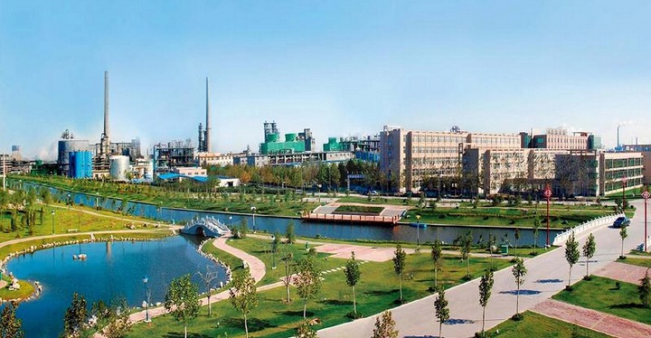 金能科技连续七年入围中国石油和化工500强