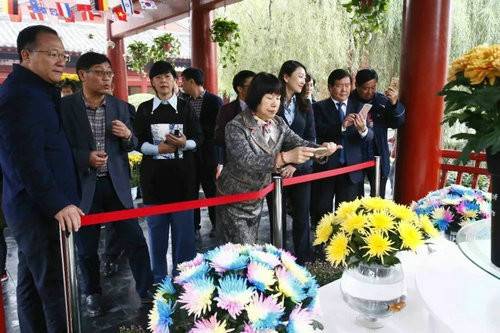 中国（开封）第六届国际菊花展暨《天下菊花 金菊十品》邮票首发式在清明上河园举行