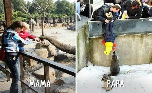 警察在路边捡到5岁男童 孩子吃饱后说:哥哥也丢了