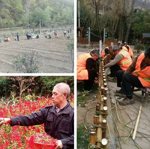 风岗老年人口_三元城关凤岗社区 调出和谐与安宁(2)