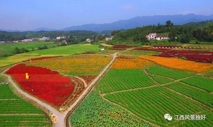 峡江县砚溪镇人口_峡江县习家村