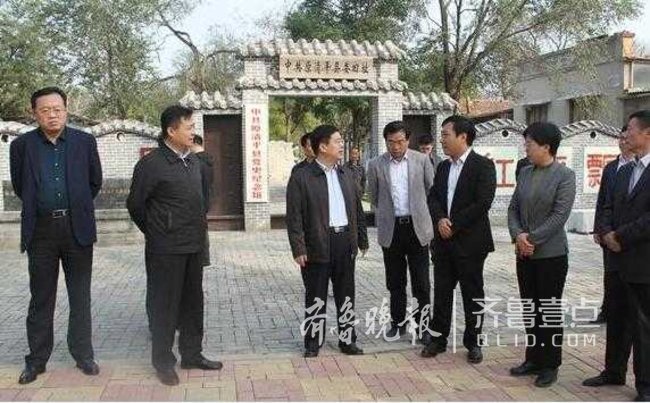 聊城市委副书记陈平来临清督导检查美丽乡村建