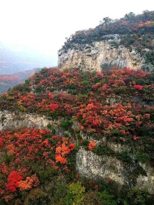 趁着秋色浓、叶正红向着青天河出发吧