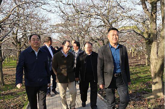 专家赴河南省宁陵县考察城市规划和小城镇建设