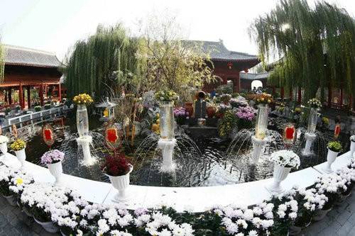 中国开封第35届菊花文化节11月26日结束清明上河园赏菊约起来