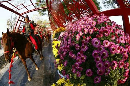 中国开封第35届菊花文化节11月26日结束清明上河园赏菊约起来