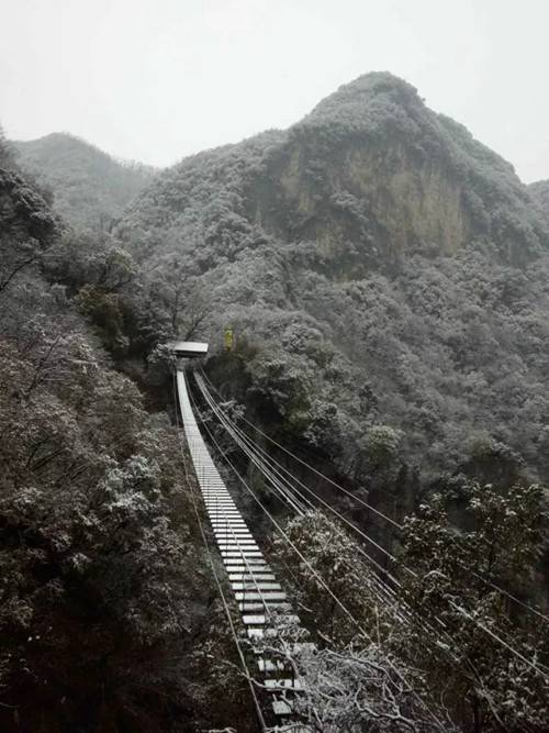 旅游近日,重渡沟风景区可谓是五彩斑斓,景区英雄岭因海拔高,一大早就