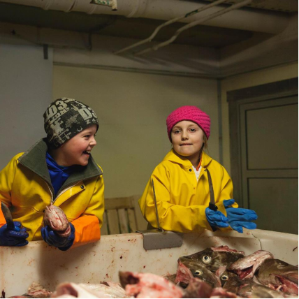 获奖纪录片《割鱼舌的孩子》 呈现挪威北极鳕