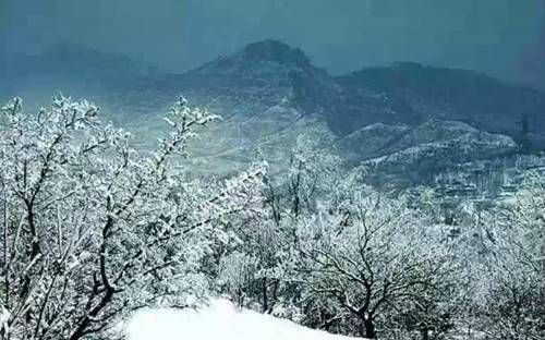 浮戏山雪花洞景区荣获2017年度中原旅游景区金口杯奖