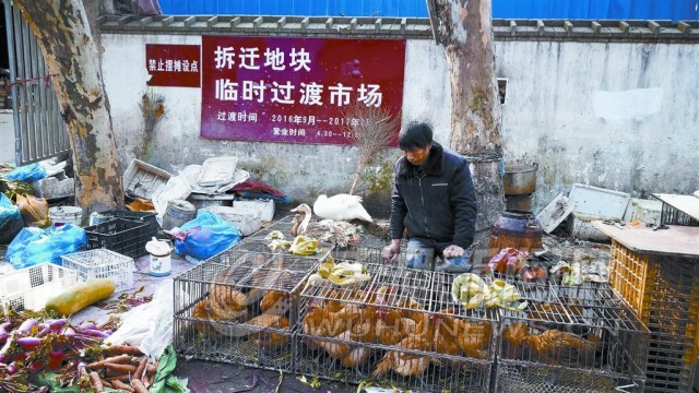 罗永浩直播谈预制菜：并不反对只想借此让预制菜市场透明化