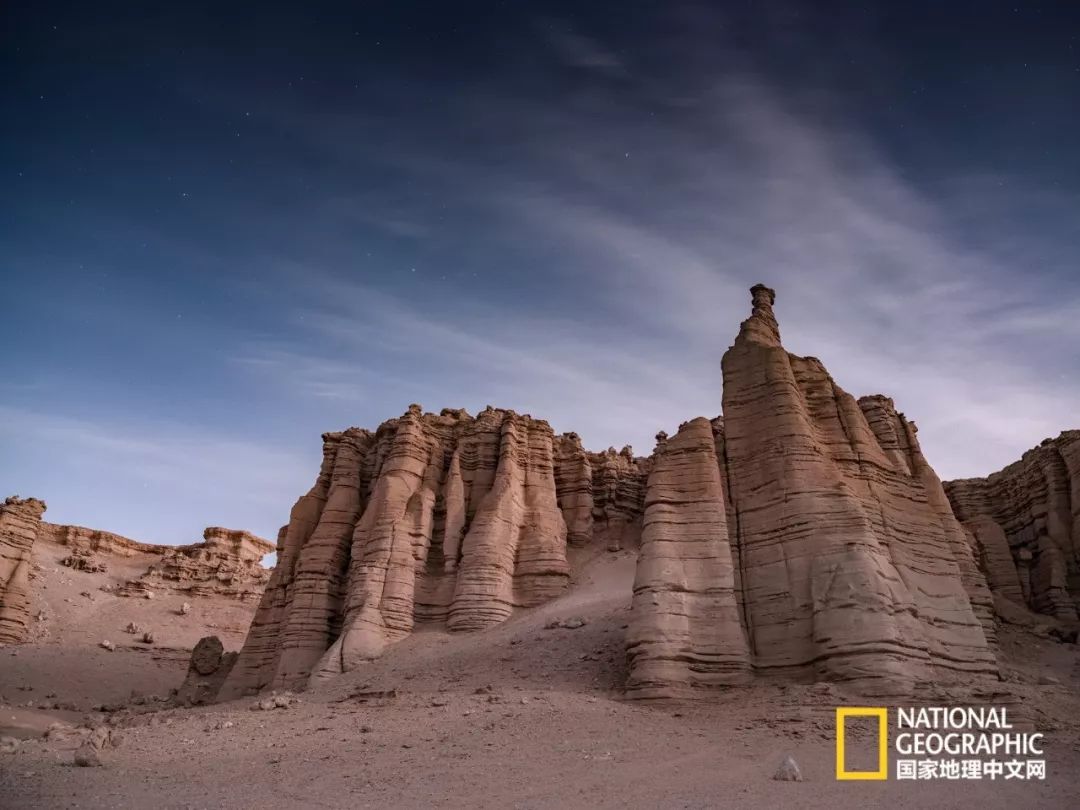 新疆罗布泊野骆驼国家级自然保护区里的野生动物 -天山网 - 新疆新闻门户