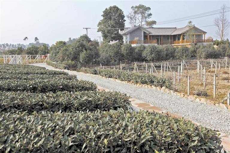 蒲江县多少人口_蒲江县樱桃山风景区(2)