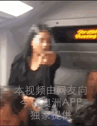 韩国女子澳洲火车上飙中文辱骂：中国人都是垃圾