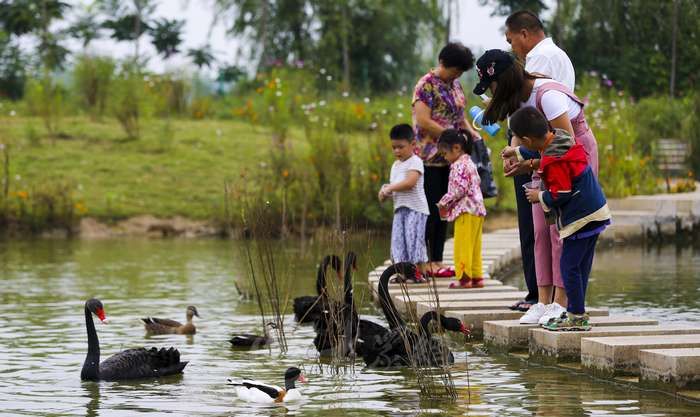枣庄双龙湖湿地项目入选2017年省人居环境范例项目_山东频道_凤凰网