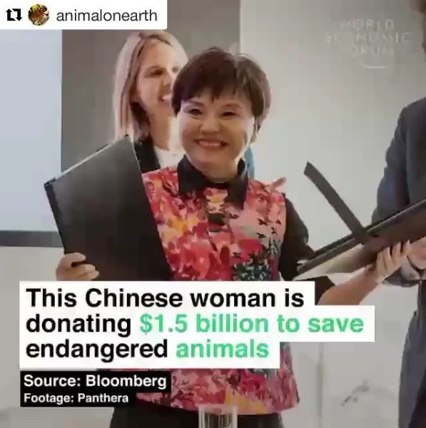 这个承诺捐赠95亿元的中国女人 究竟什么来头？
