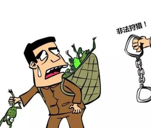 近日,试图以捕食" 泥蛙" 来治病的方某被平江县法院以非法猎捕珍贵
