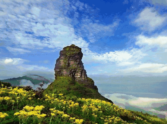 社会万象 ></p></a> 正文  3月8日当天,游览秦岭野生动物园的女性享门票六折