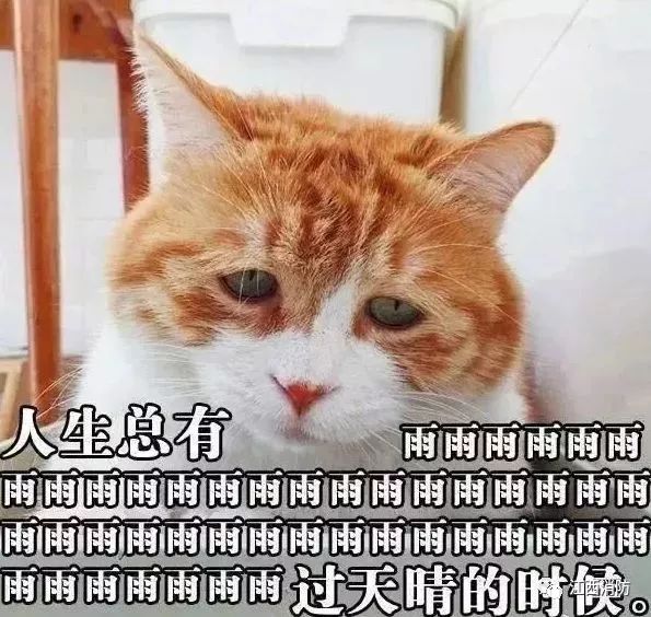 �������Ϯ��������10�棡δ��7�춼���ꡭ�����ġ��ꡱ��������