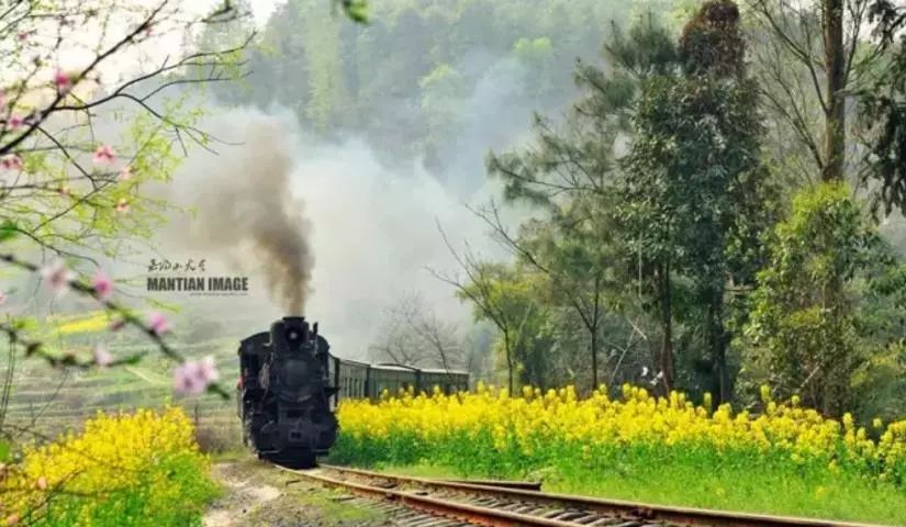 坐上嘉阳蒸汽小火车 开启一段全新的春天之旅