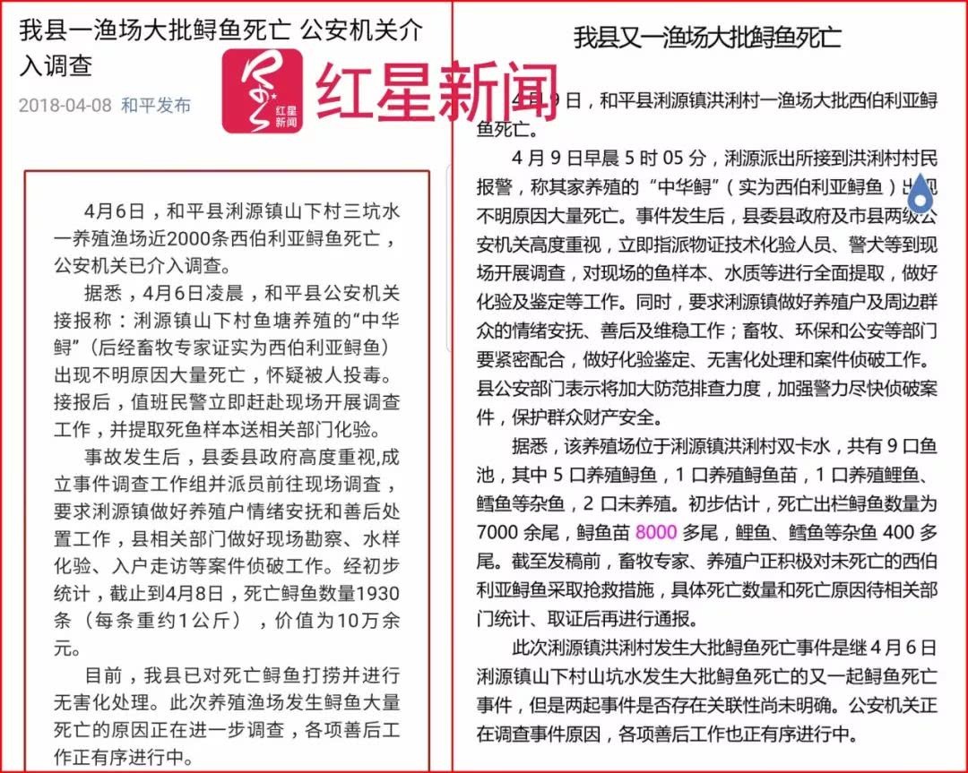 邹相信与侄子邹建国合伙经营 水族资讯 兰州水族第7张 邹相信与侄子邹建国合伙经营 水族资讯 兰州水族第7张