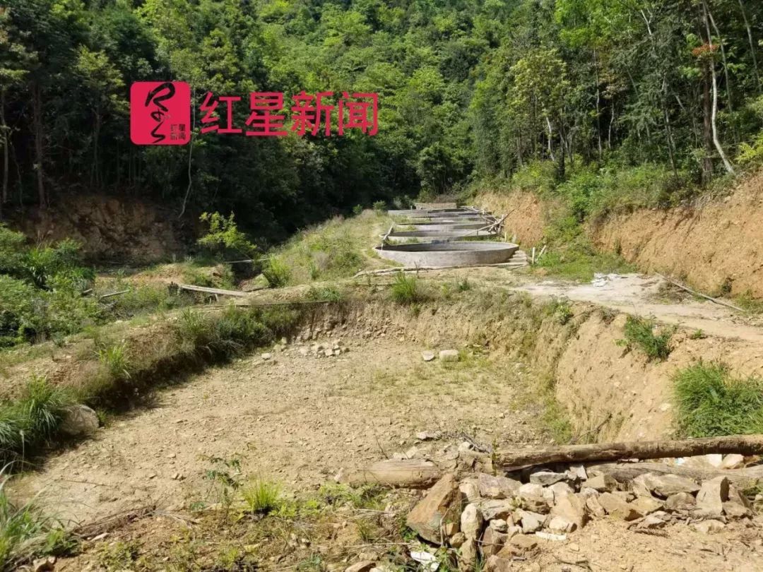 邹相信与侄子邹建国合伙经营 水族资讯 兰州水族第1张 邹相信与侄子邹建国合伙经营 水族资讯 兰州水族第1张