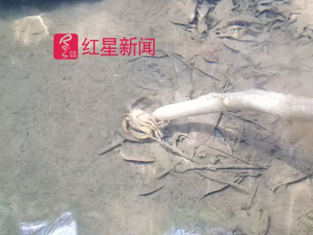 邹相信与侄子邹建国合伙经营 水族资讯 兰州水族第4张 邹相信与侄子邹建国合伙经营 水族资讯 兰州水族第4张