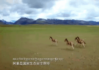 西藏 