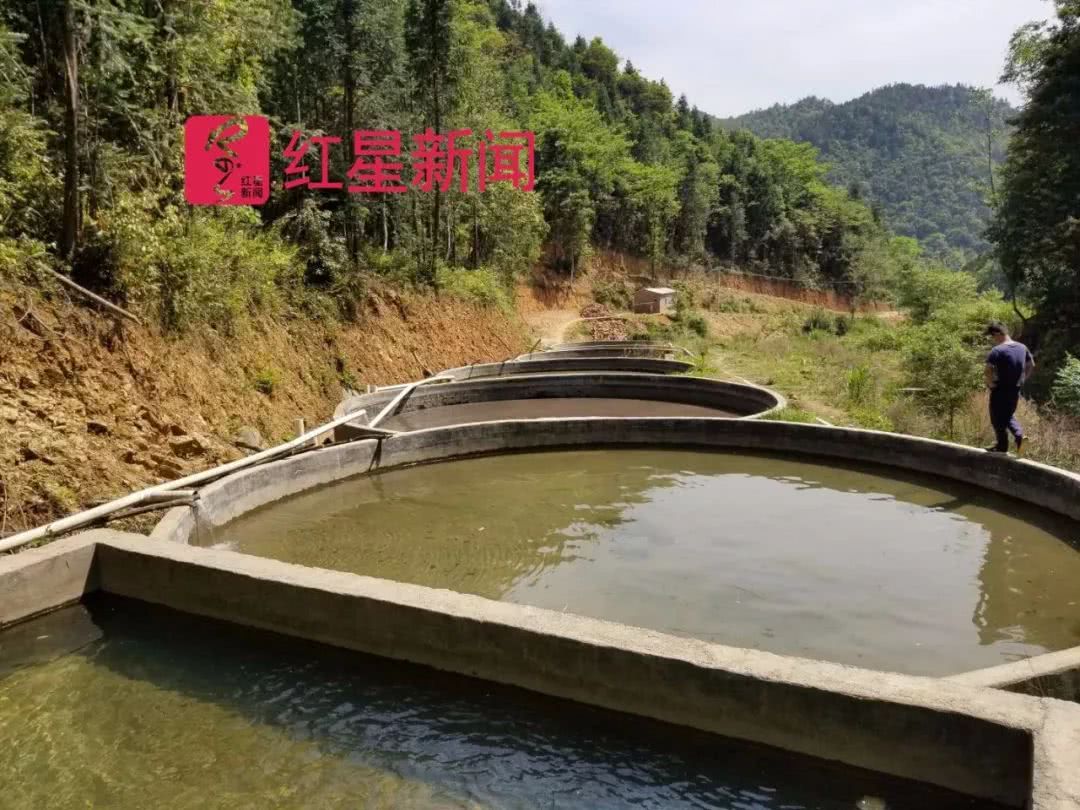 邹相信与侄子邹建国合伙经营 水族资讯 兰州水族第2张 邹相信与侄子邹建国合伙经营 水族资讯 兰州水族第2张