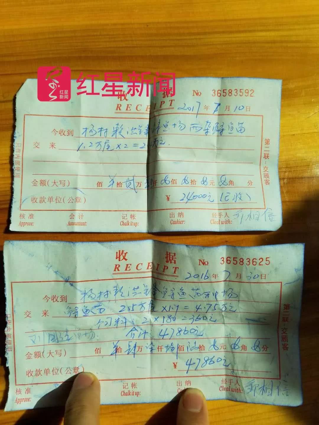 邹相信与侄子邹建国合伙经营 水族资讯 兰州水族第5张 邹相信与侄子邹建国合伙经营 水族资讯 兰州水族第5张