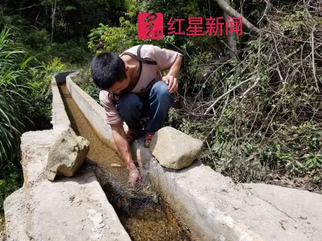 邹相信与侄子邹建国合伙经营 水族资讯 兰州水族第13张 邹相信与侄子邹建国合伙经营 水族资讯 兰州水族第13张