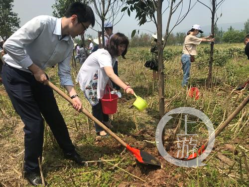 5月13日，共舞长江经济带网络媒体行的记者和志愿者在广阳岛长江边植树。3.png