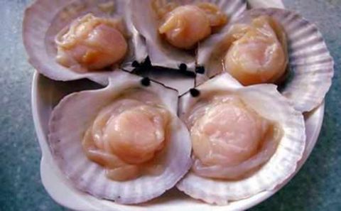 香味四溢的蒜蓉粉丝蒸扇贝,自己其实也能做!