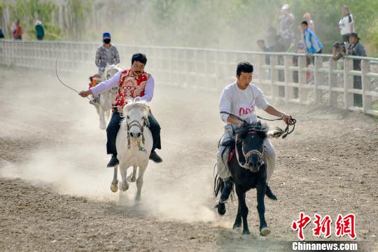 甘肃张掖藏族乡赛马大会吸引千人围观