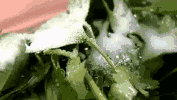 ߲ݾõũˣСԽԽ࣡