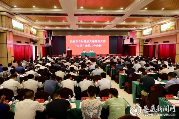 娄底市农村基层党建暨党支部五化建设工作会