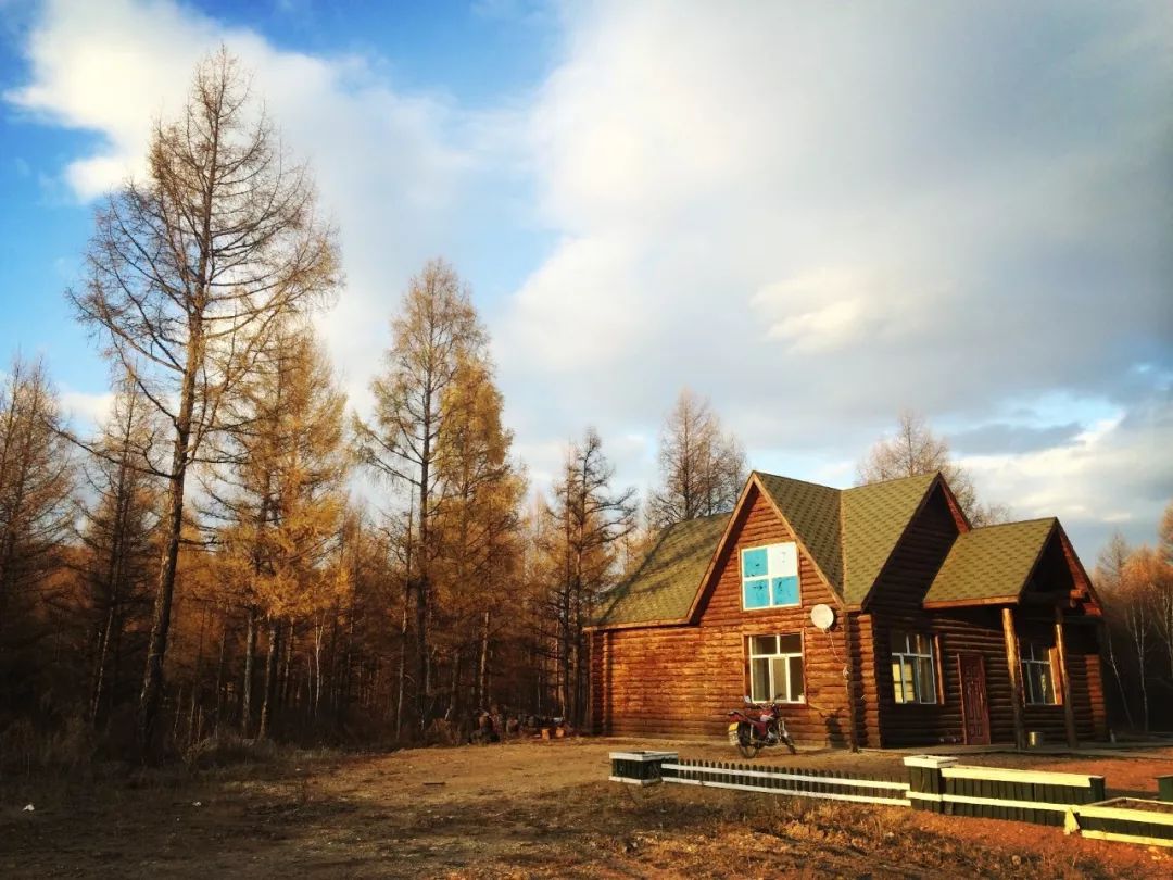 国内竟私藏梦幻“北欧森林” 不去世界尽头也能见驯鹿