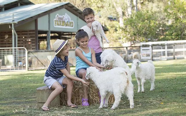 澳大利亚VS新西兰 到底哪个更适合全家出行?