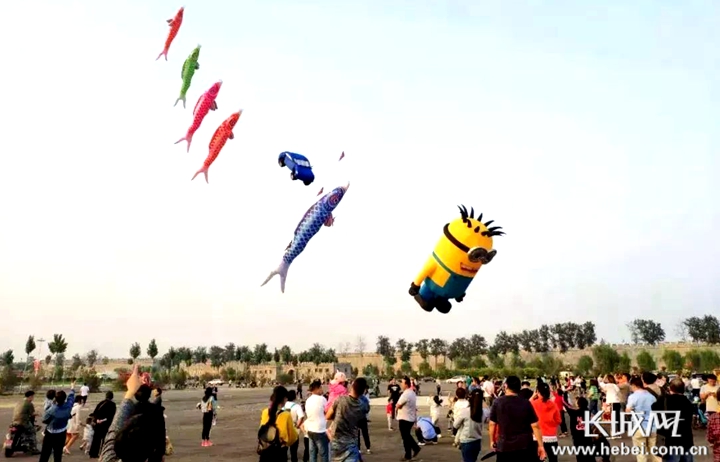 什么样的天空飘着什么风筝 746055cbd41689e_w720_h462.jpg