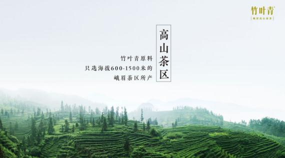 2018中国茶业经济年会开幕，竹叶青获质量创新能力第一
