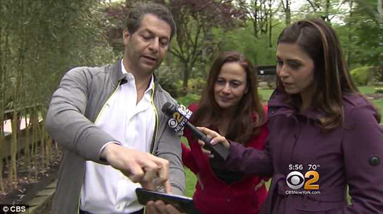 天降横财！后院挖出神秘盒子纽约夫妇打开之后惊呆了