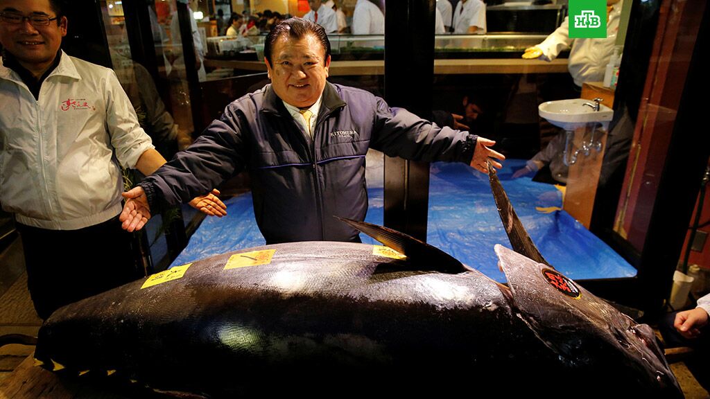 东京水产市场新年首拍创记录 一条金枪鱼拍出3.33亿日元