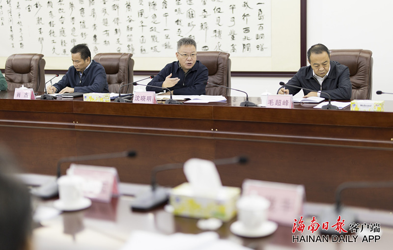 2019海南经济形势_...融研究院发布 2019年一季度经济形势分析与未来展望(2)