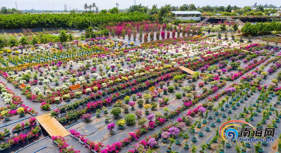 海口红旗镇gdp_海口红旗镇规划图(2)