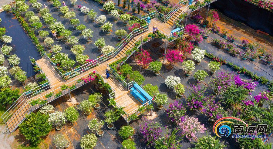 海口红旗镇gdp_海口红旗镇规划图(2)