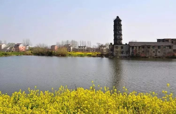 县在说 | 这座小城竟是长江中下游的“菜园子”